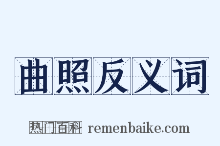 曲照反义词是什么意思的图片